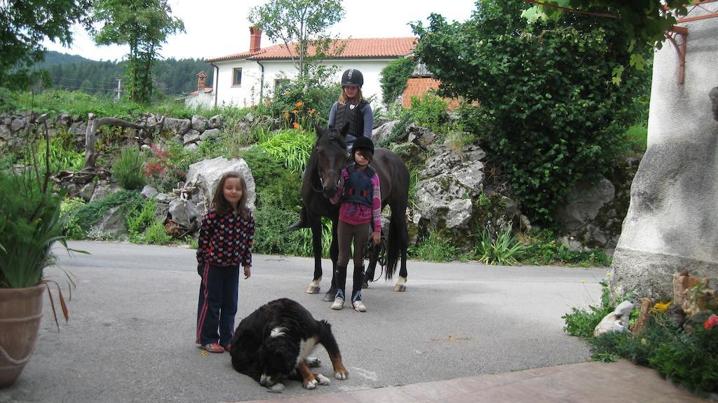 Tourist Farm Dujceva Domacija Villa Vremski Britof Eksteriør bilde